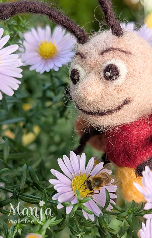 Funkel beobachtet eine Biene auf einer Blume